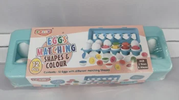 Shapes Matching Puzzle Educational Toy