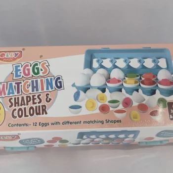 Shapes Matching Puzzle Educational Toy